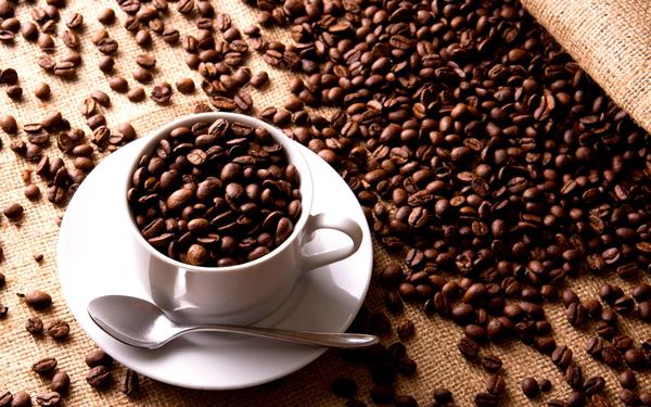Export of Coffee