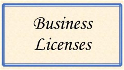 Business Licence (Involve LGA and BRELA depending on the license Type)